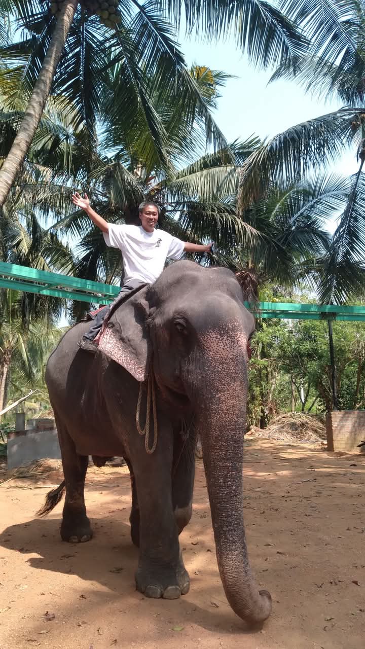 Asanka riding an elephant under coconut palms in Sri Lanka