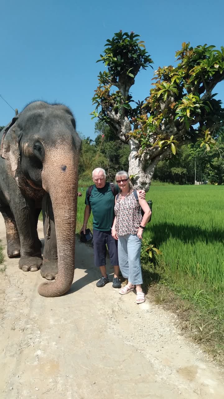 Guests of Asanka Tours meeting a friendly elephant on a village path near Kandy, Sri Lanka